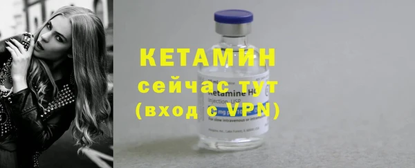 крисы Тайга