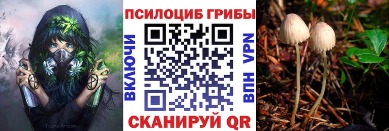 цена наркотик  Кинель  ОМГ ОМГ ссылка  Галлюциногенные грибы Psilocybine cubensis 
